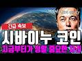 시바이누 코인 지금부터가 정말 중요한 자리 입니다