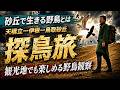 【72天橋立ー伊根ー鳥取砂丘の野鳥】THE観光地が野鳥天国すぎた。環境に適応し生き抜く野鳥の姿をとらえた！