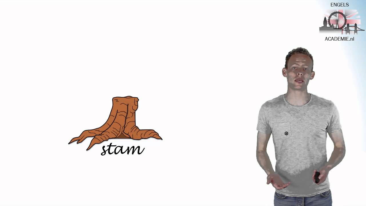 Engels  Present simple  EngelsAcademie.nl  YouTube