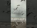 समय कभी रुकता नहीं