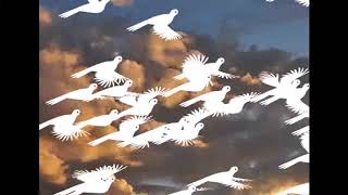 Flying birds Animation - Action Script 3.0 screenshot 2