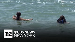 Shark safety blitz at Jones Beach after woman is bitten