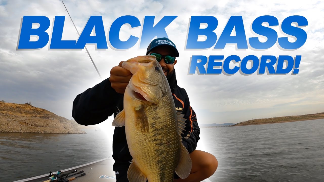 HOY es MOMENTO de BLACK BASS RECORD! | Día 2