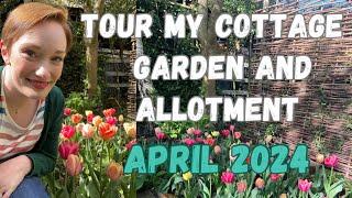 TOUR MY COTTAGE GARDEN AND ALLOTMENT IN APRIL  SPRING 2024