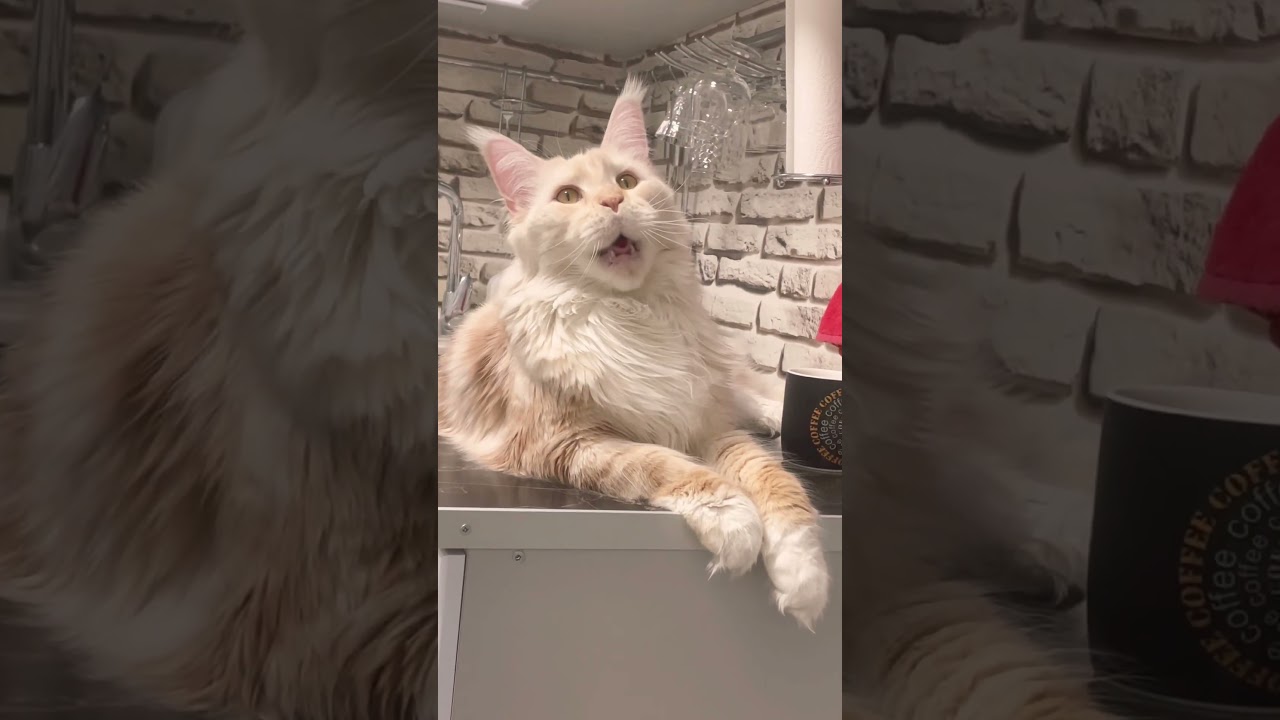 А Масе тепло😻 