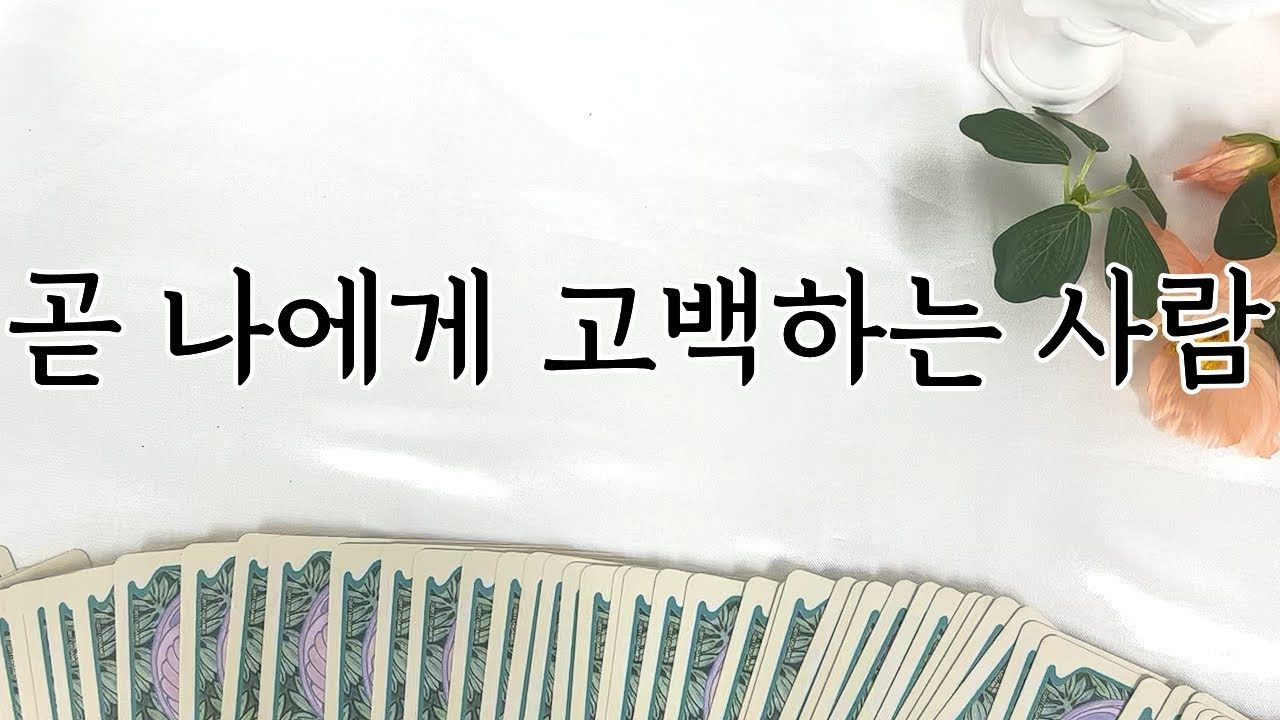 [타로] 곧 나에게 고백하는 사람