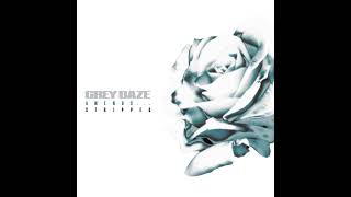 Grey Daze  Amendsstripped Vinyl Interview 2