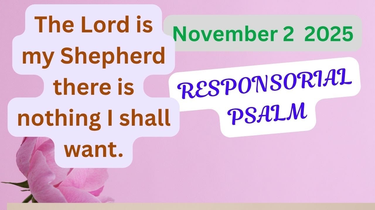 2 ноября 2025 г. 