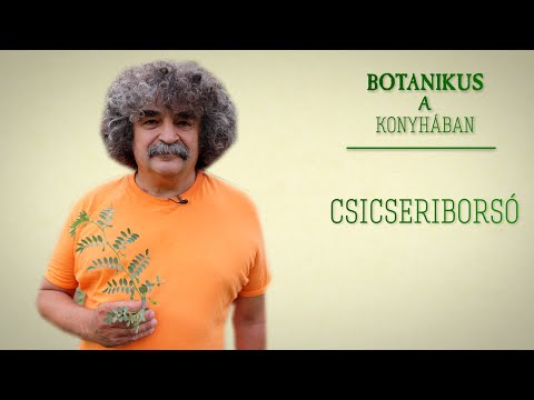 Videó: 4 út a bonsai japán juharfákhoz