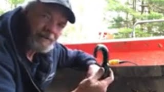 HarborFreight Bolt on Hooks for my L3301 Kubota Tractor Bucket