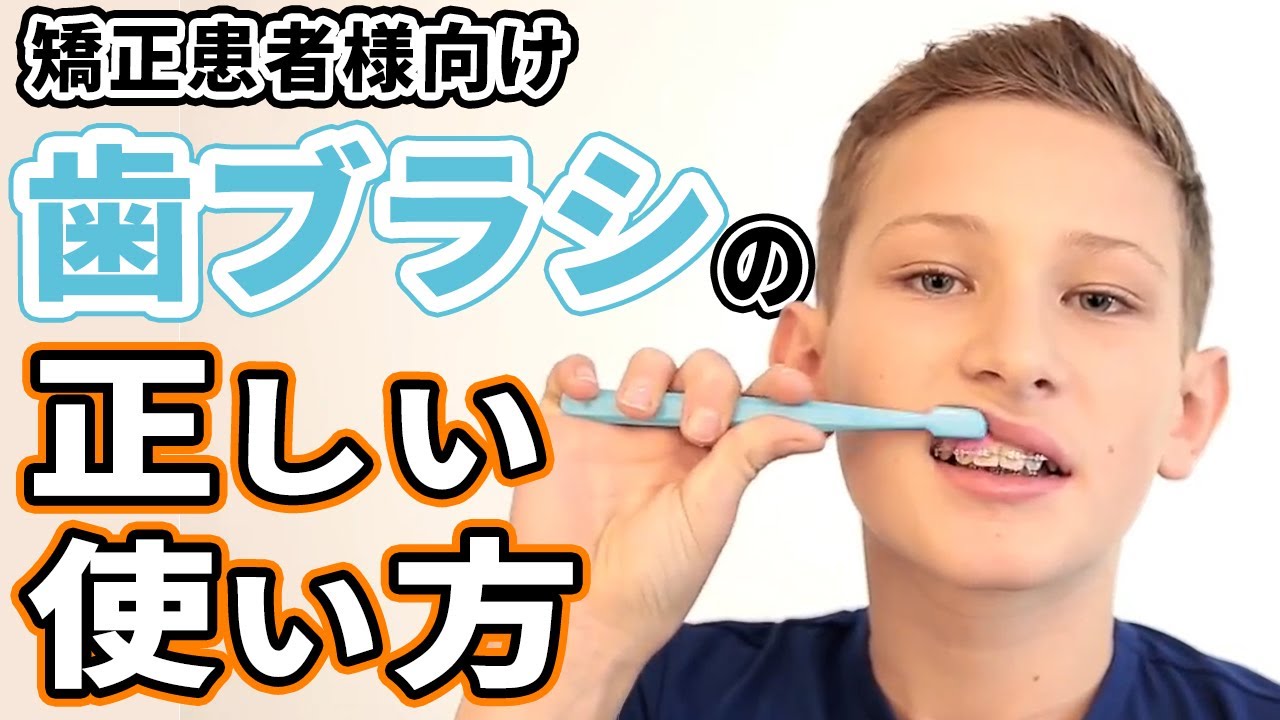 歯ブラシの使い方指導の手びき (でんたるおぐじりあり-シリ-ズ) Amazon.co.jp: 歯ブラシの使い方指導の手びき 第5版 (でんたるおぐじり