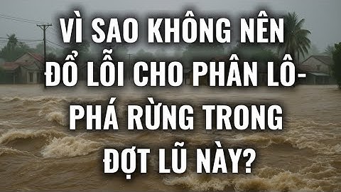 Vì sao không nên đổ lỗi cho phân lô - phá rừng trong đợt lũ này?