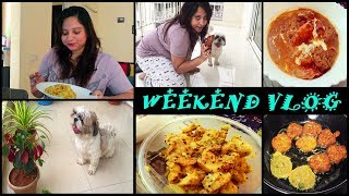 ... hello friends, he made my saturday boring as indian petmom feels
bored