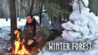 Would You Sleep in a SNOW SHELTER?❄Winter Camping & Bushcraft: Minimal Gear