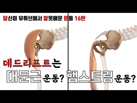 당신이 유튜브에서 잘못배운 운동 16탄 - 데드리프트는 과연 힙업운동인가? #데드리프트 #힙업운동 #대둔근