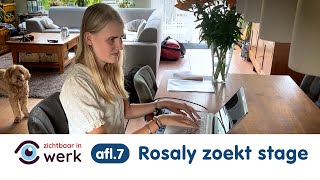 Zichtbaar In Werk Afl 7 Rosaly Zoekt Stage
