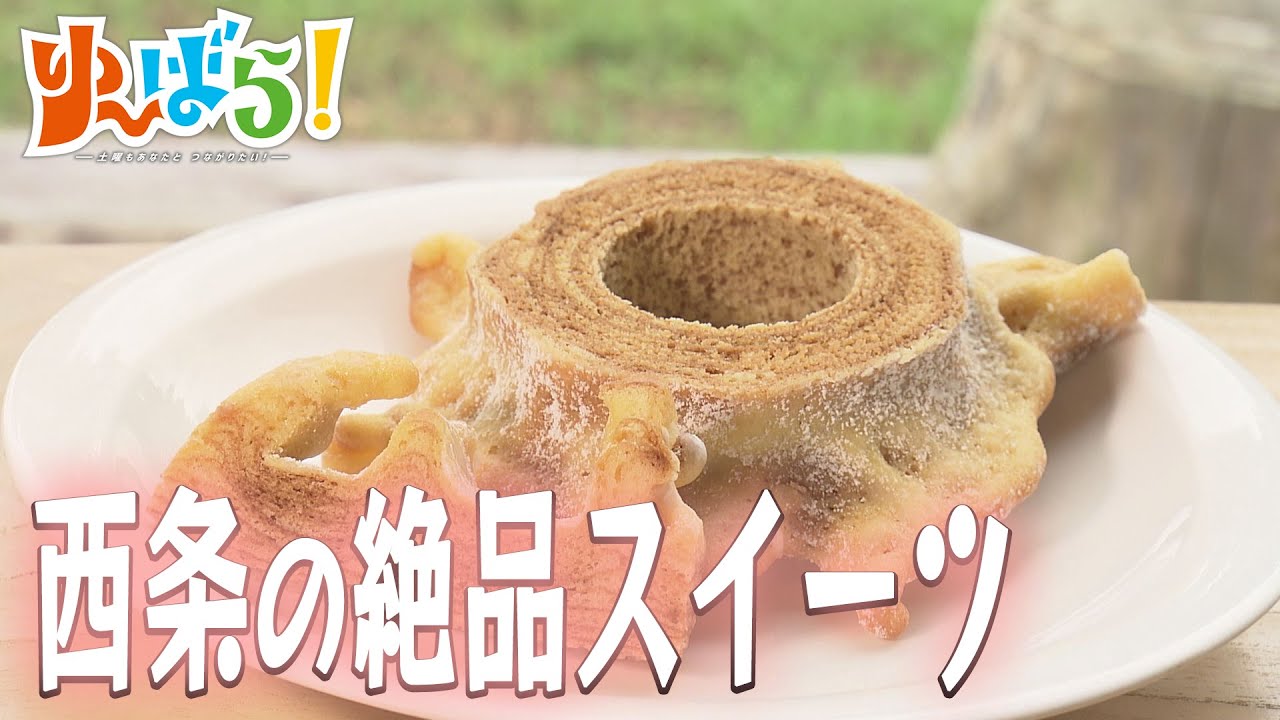 【ゆ～ばら！】絶品スイーツを求めて西条市へ！和菓子に洋菓子に様々なジャンルのスイーツが登場