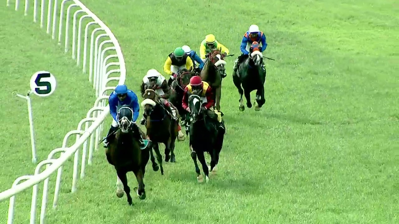 IMPERADOR : THE PHAR LAP PLATE (26)