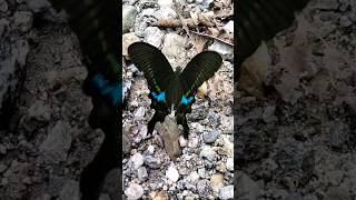 Be Kind To Every Kinds.