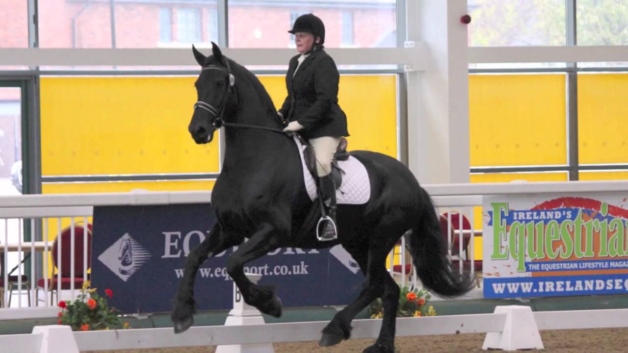 video phone beyonce mp3 BRC D2M Aintree 2011