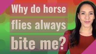 Why do horse flies always bite me?