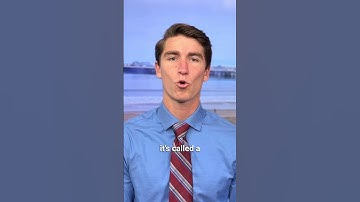 Tea is a Torsional Pendulum