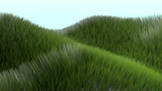 Quick - Grass render - Blender