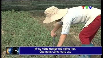 Kỹ sư nông nghiệp trẻ trồng hoa ứng dụng công nghệ cao