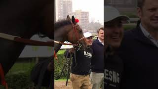 Maga Brava y Bengasi dominaron la milla 🐎 | #NoHayCaballoFijo