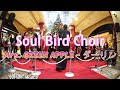 Mrs GREEN APPLE ダーリン Soul Bird Choir