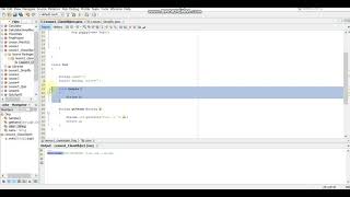 Lesson 2:Definition of Variables and Methods With Examples