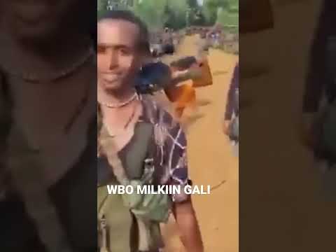 Milkiin Gali WBO Koo Oromo Wbo Oro Oromomusic Oromo News Oromotiktok Oromo Best Prank