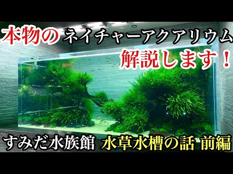 公式】AQUASHOP wasabi 水草チャンネル - YouTube