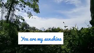 Download Lagu You Are My Sunshine cover by Michela Thea Download Lagu You Are My Sunshine cover by Michela Thea