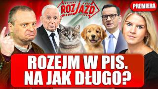 RZĄD WYDOI (ZA) PSA I KOTA. ZŁOŚLIWY TROLL TUSK. PIRAT MEJZA POD OCHRONĄ | ROZJAZD