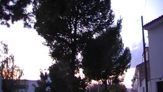 guarderia,los,corrales