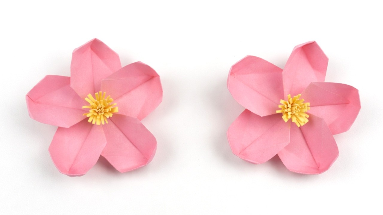 【 春の折り紙 】 簡単 可愛い 桜 折り方 / 折り紙 桜