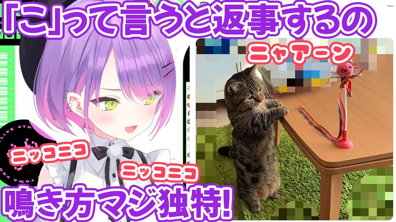 猫のこたくんの声を配信に乗せてすっごいニッコニコな表情を見せる常闇トワ【ホロライブ切り抜き】