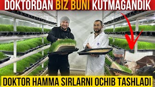 : GIDROPONIKA NIMALARGA QODIR?!