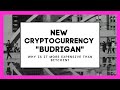 The new cryptocurrency &quot;Budrigan&quot;. Why is it more expensive than Bitcoin?