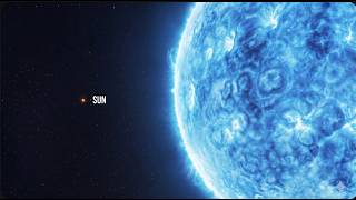 The REAL Largest Stars in the Universe - 3D Size Comparison