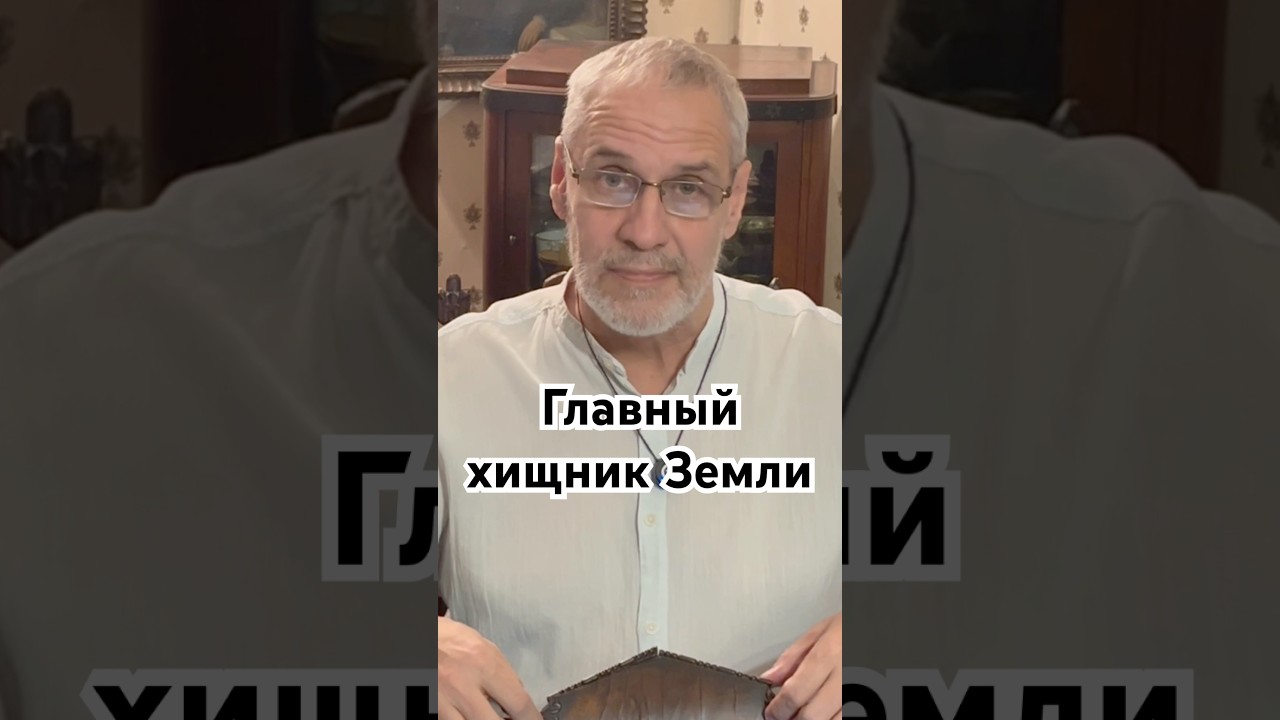 Главный хищник Земли #история #точносказано #красивосказано #скрытые #гарпии #хочуфакты