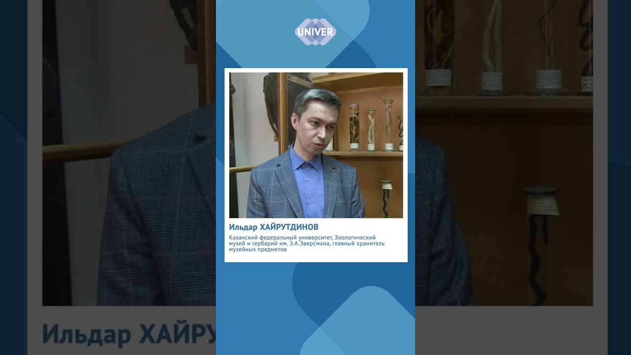 КАКИЕ ЗМЕИ ВОДЯТСЯ В ТАТАРСТАНЕ?