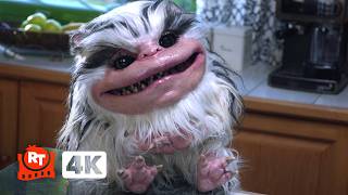 Critters Attack! (2019) 4K - Awww Cute Lady Critter (5/10) | Movieclips