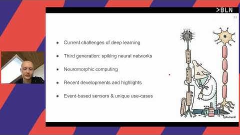 Darjan Salaj – Deep Learning, Neuroscience and the future of AI