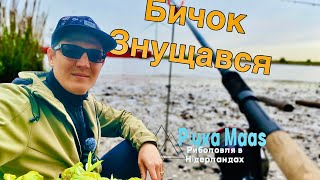 картинка: Бичок не дає спокою ✅  ✅  ✅ НОВЕ МІСЦЕ на річці MAAS ✅  ✅  ✅ рибалка в Нидерландах