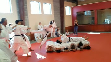 Dragons Do Fly Goju Ryu Black Belt Testing 2017 In Houston CCDK