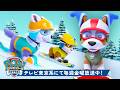 パウ・パトロール | ラブル&ズーマとサーフ&スケボー1時間!🏄♂️🛹 | テレビ東京系にて放送中
