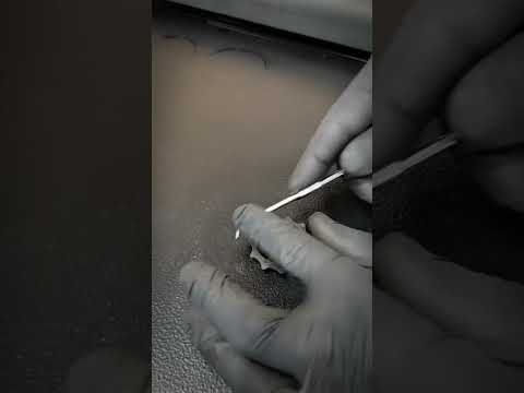 How to improve shifting by cleaning derailleur pulleys.