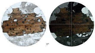 Virtual Microscope: Βιοτίτης / Biotite